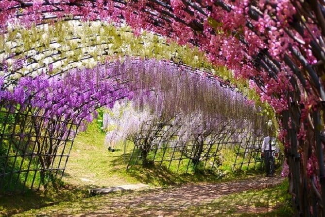 Mojiko Retro, Kawachi Wisteria and Shiranoe Gardens Tour YokaBus - Inclusions and Exclusions
