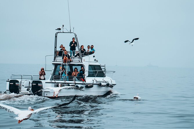 Mola Mola Marine Dolphin Cruise From the Walvis Bay Waterfront to Pelican Point - Dietary Accommodations