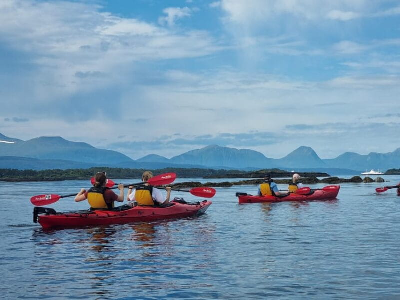 Molde - Guided kayak tour - The Experience: What Happens on the Water?
