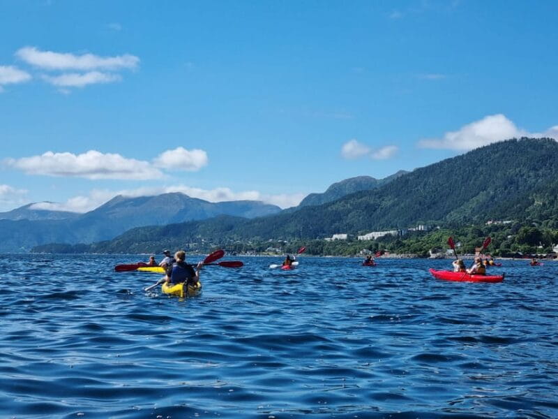 Molde - Guided kayak tour - Who Should Skip This Tour?