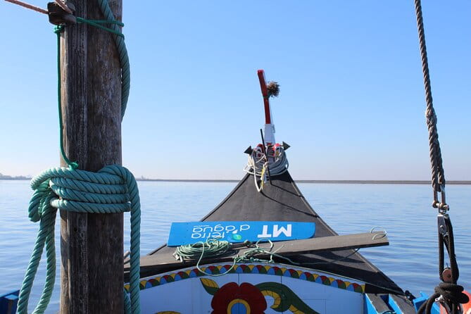 Moliceiro boat trip, with experience in bivalves harvesting - Navigating the Ria de Aveiro Moliceiro Experience