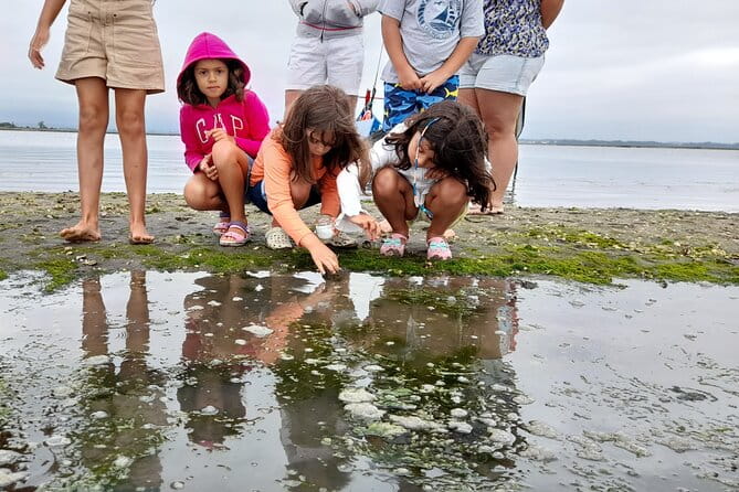 Moliceiro boat trip, with experience in bivalves harvesting - Frequently Asked Questions