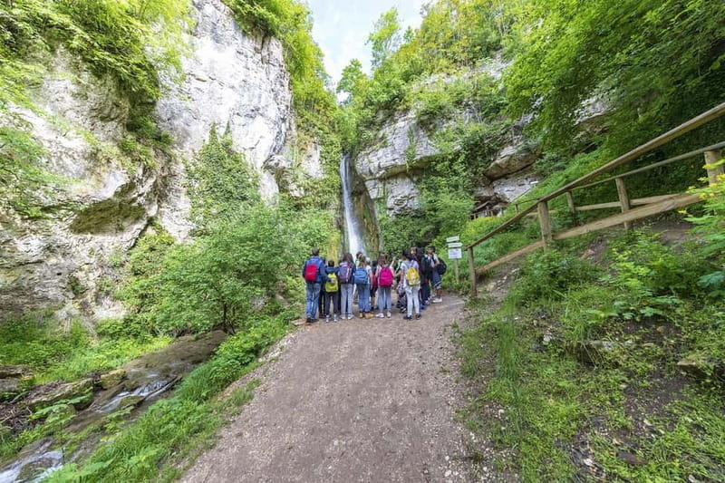 Molina Waterfall Park: tour and optional aperitif - Key Points & Takeaways