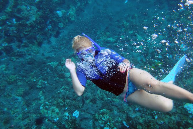 Molokini Crater Snorkeling Adventure - Customer Feedback and Reviews