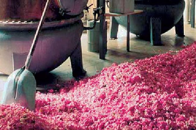 Monaco and Perched Medieval Villages - private & Guided Tour - FAQ