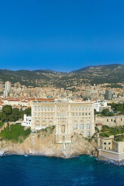 Monaco: Sightseeing Boat Cruise - The Experience from Start to Finish