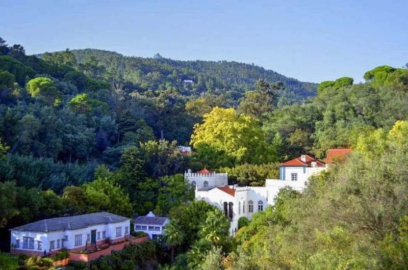 Monchique: Highlights Tour - Who Will Love This Tour and Who Might Not?