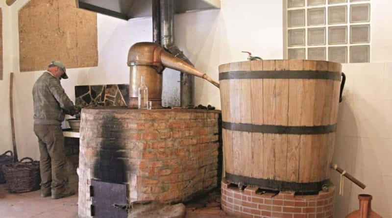 Monchique: Highlights Tour - Final Thoughts: Is This Tour Worth It?