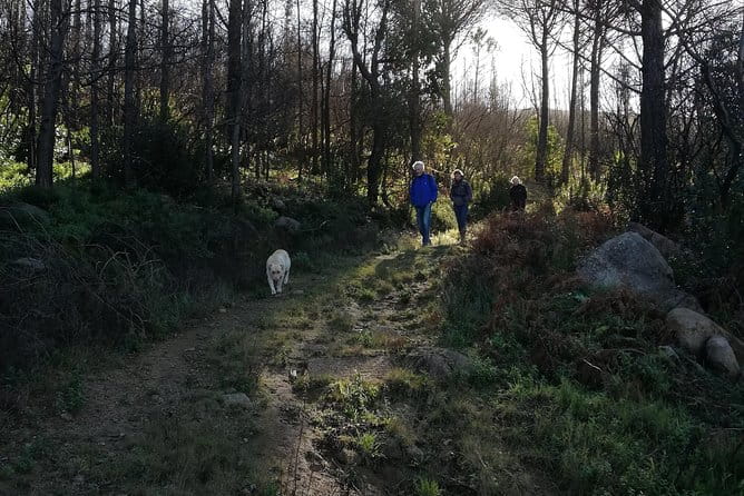 Monchique Hills & Flavors - Scenic Views and Authentic Experiences on a Guided Adventure