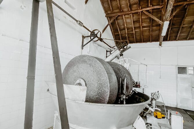 Monchique Hills & Flavors - The Monchique Black Pig Farm: A Deep Dive