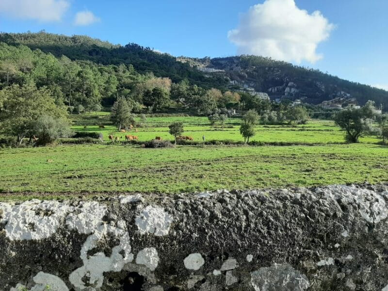 Monchique & Silves: guided day trip - A Detailed Look at the Monchique & Silves Guided Tour