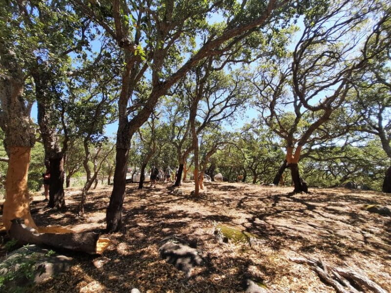 Monchique & Silves: guided day trip - FAQ