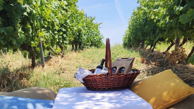 Monferrato: Garetto Wine Estate Tour and Picnic Private - The Picnic: A Taste of Piedmont in the Open Air