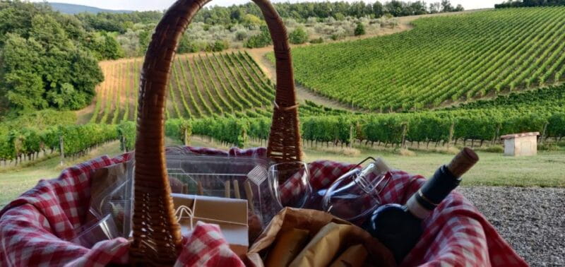 Monferrato: Garetto Wine Estate Tour and Picnic Private - Logistics, Cost, and Who Will Love It