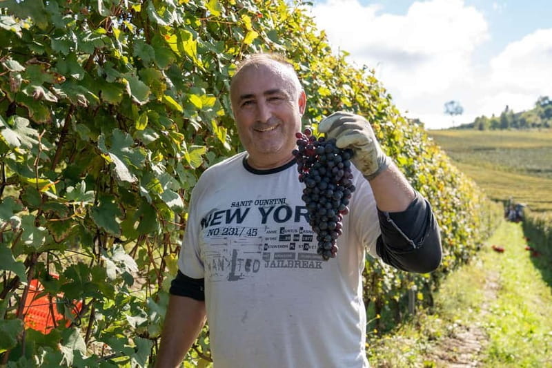 Monforte d'Alba: 7 glasses of Langhe with visit to Winery and Vineyards - Introduction to the Langhe Wine Experience at Podere Gagliassi