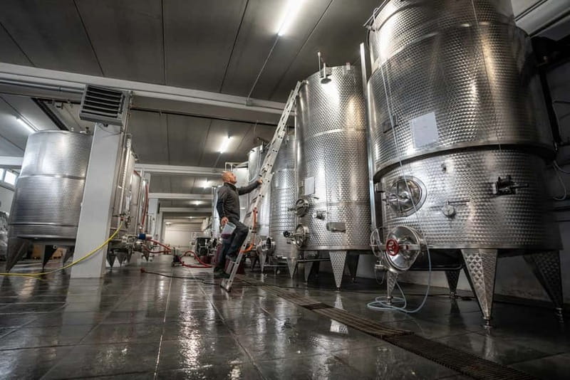 Monforte d'Alba: 7 glasses of Langhe with visit to Winery and Vineyards - Key Points / Takeaways