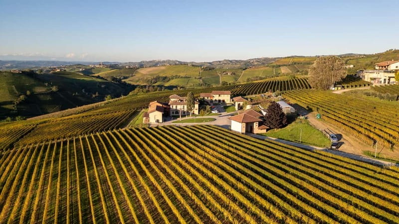 Monforte d'Alba: 7 glasses of Langhe with visit to Winery and Vineyards - Entering the Underground Cellar: Tradition Meets Innovation