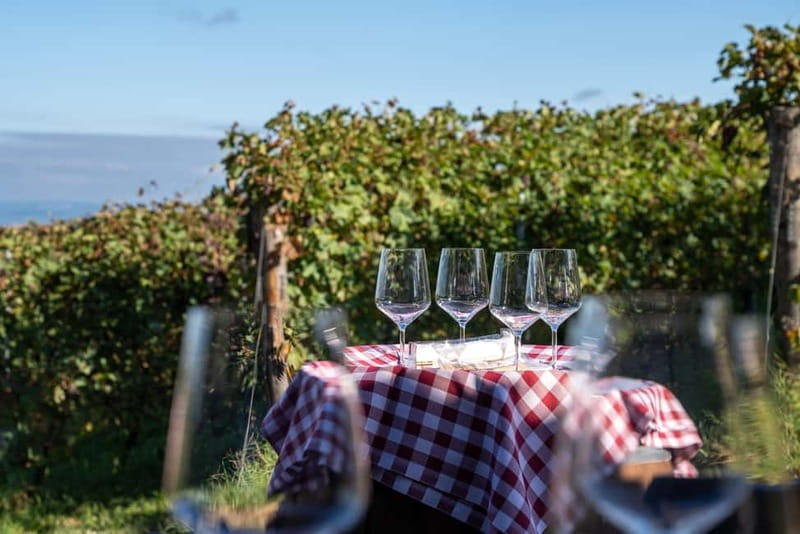 Monforte d'Alba: 7 glasses of Langhe with visit to Winery and Vineyards - The Tasting: Seven Iconic Wines of Langhe