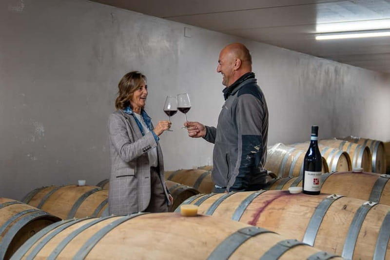 Monforte d'Alba: 7 glasses of Langhe with visit to Winery and Vineyards - Summary: Who’s this for?