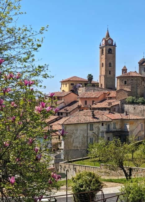 Monforte dAlba: Guided Walking Tour with Wine Tasting - The Value of a Guided Experience