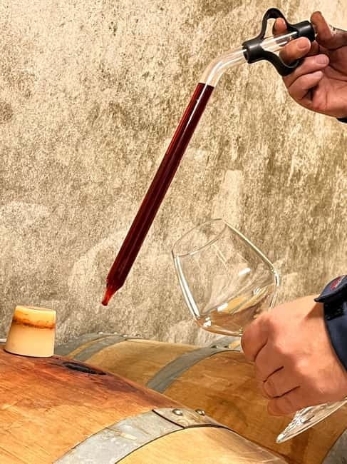 Monforte dAlba: Guided Walking Tour with Wine Tasting - Price and Logistics