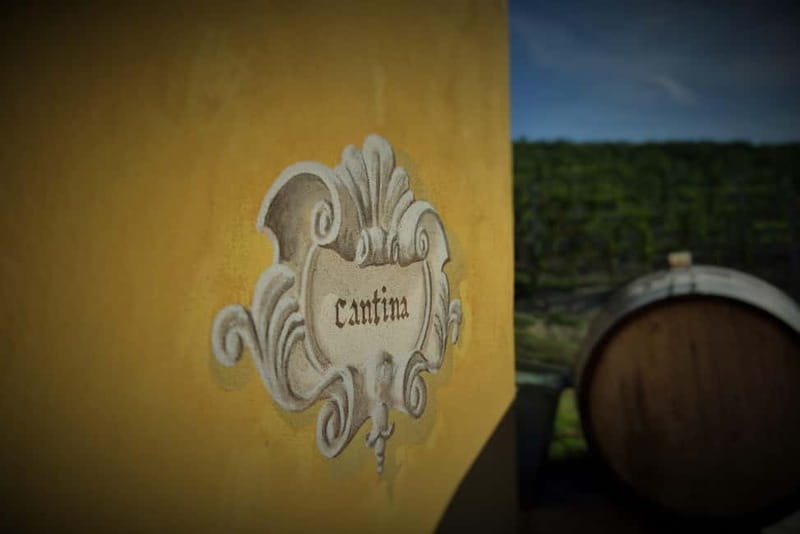 Monforte d'Alba: Wine and Chocolate Tasting Experience - Key points / Takeaways