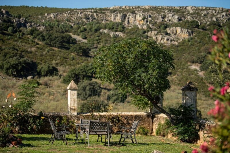 Monfrague Wildlife Experience: Vultures Close-up - The Scenic Picnic: Rest and Reflection