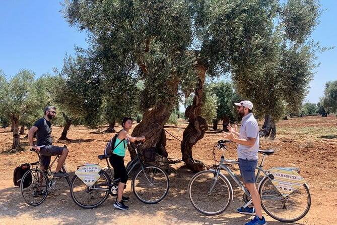 Monopoli's Countryside by Bike - Who Will Love This Tour?