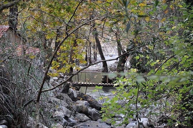 Monster Green Canyon Safari with Lunch - Practical Aspects: Logistics, Price, and Value