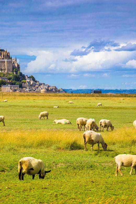 Mont Saint-Michel: Self-Guided Tour of the Island - Panoramic Views From the Abbey
