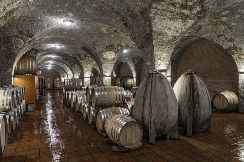 Montalcino: Backstage Brunello & Gourmet Wine-Food Tasting - Key points / Takeaways