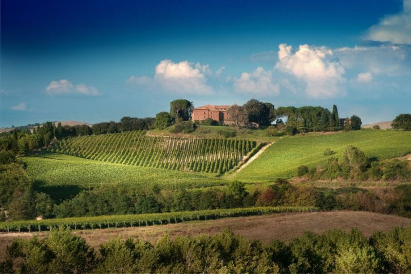 Montalcino: Brunello Wine Tasting Experience - Entering the World of Brunello in Montalcino