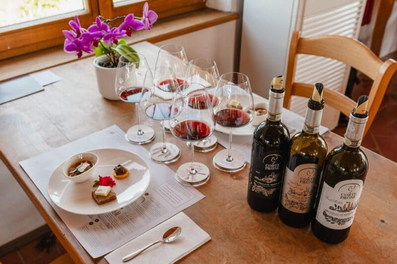 Montalcino: Guided Winery Tour & Gourmet Food Tasting - Entering the World of Montalcino’s Vineyards