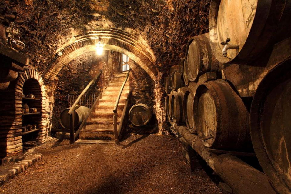 Montalcino Truffle and Wine Tasting Day Tour From Rome - Brunello Wine Tasting Experience
