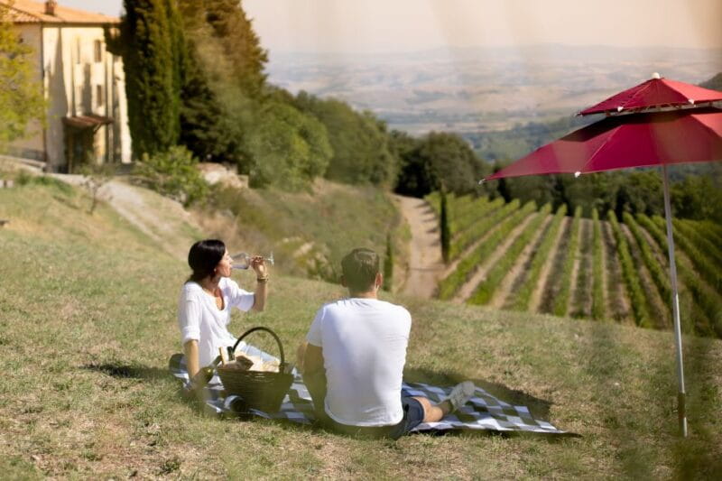 Montalcino: Vineyard Picnic with a Bottle of Wine - The Sum Up