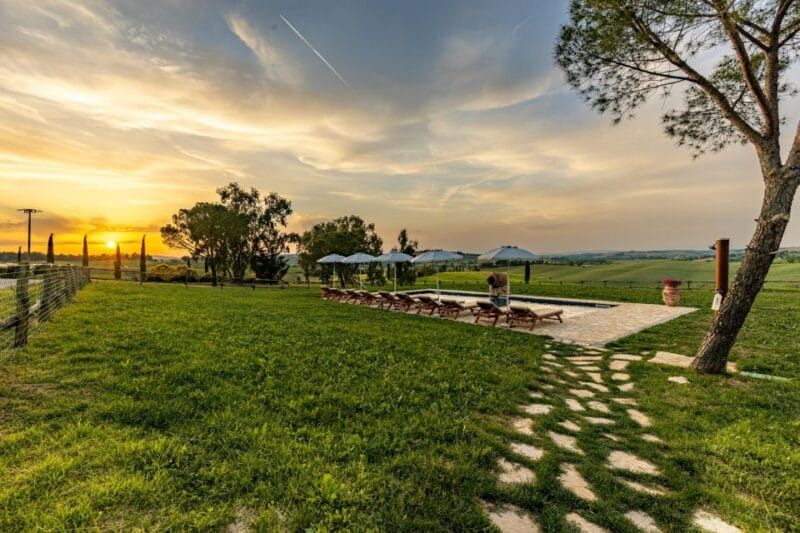 Montalcino: Vineyard Picnic with Rosso di Montalcino Wine - Final Thoughts