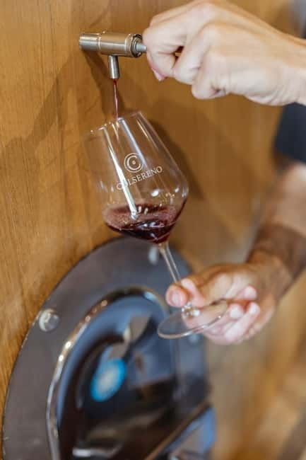 MONTALCINO : Wine Tasting with Tuscan Cold Cuts and Cheese - Who Should Consider This Tour?