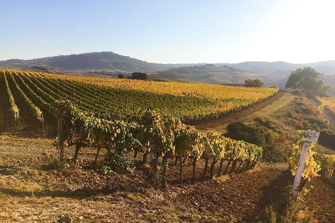 Montalcino wine tour - FAQ