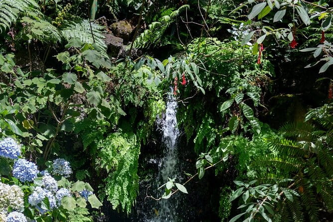 Monte Palace Tropical Garden Tour - Exploring the Monte Palace Tropical Garden Tour in Depth