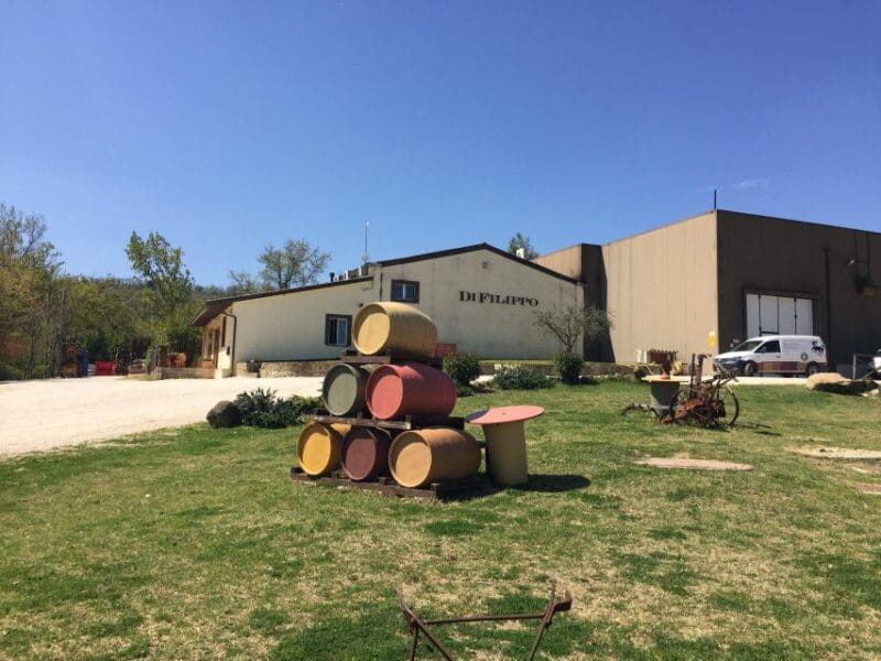 Montefalco and Bevagna Wine Tasting Full-Day Tour - The Sum Up