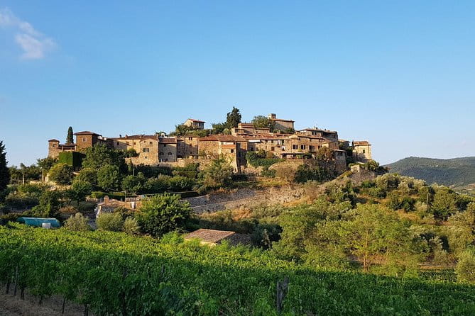 Montefioralle Winery - Tour and Wine Tasting in Chianti - Final Thoughts