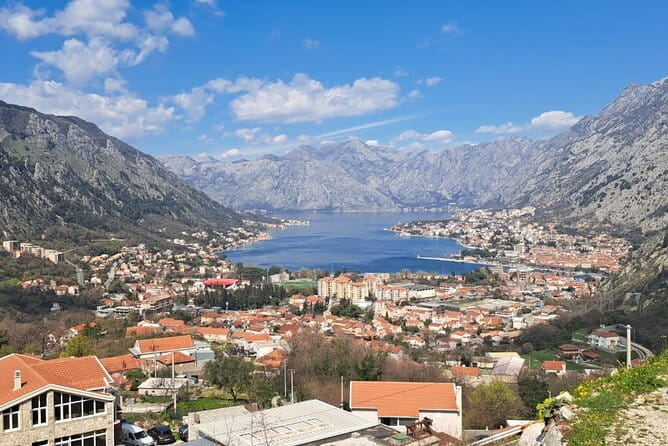 Montenegro Full Day Trip from Dubrovnik (small group) - Price and Value Analysis