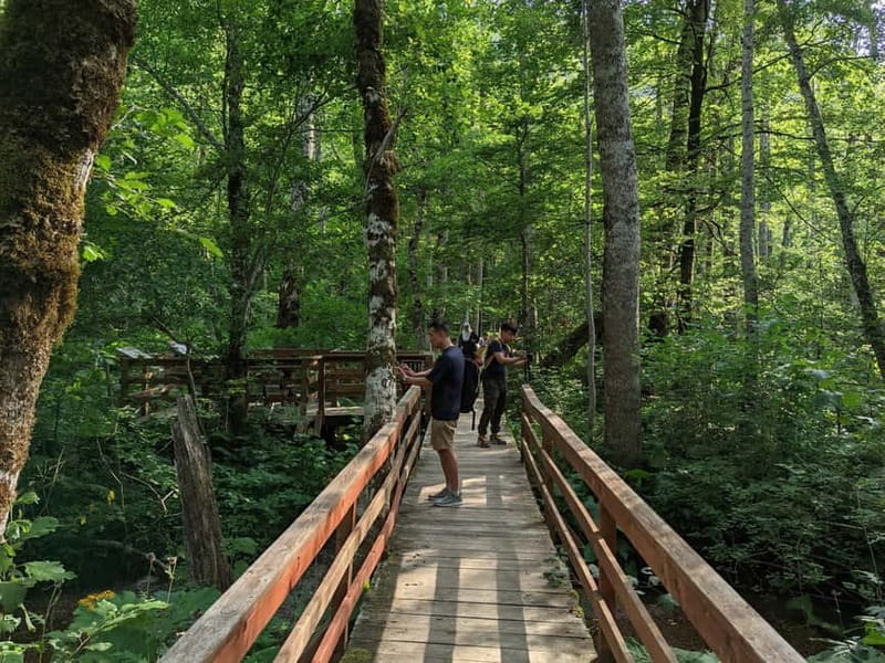 Montenegro Tour by train  Private tour - Exploring Biogradska Gora National Park