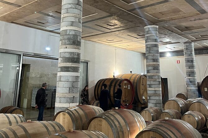 Montepulciano and Chianti in 1 day + lunch&transfer from Florence - Lunchtime in the Tuscan Countryside