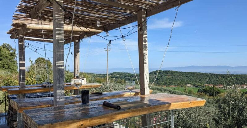 Montepulciano: Artisan Heroic Wine Tasting at the Terrace - A Closer Look at the Experience: What You Can Expect