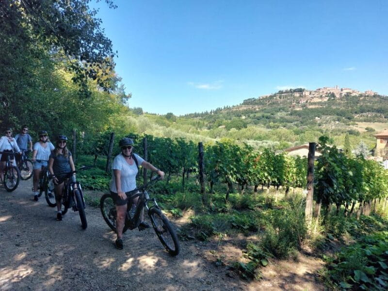 Montepulciano: E-Bike Tour with Historic Center Visit - Who Will Love This Tour?