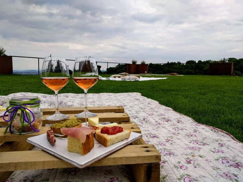 MONTEPULCIANO - PIC NIC WITH WINE! SURROUNDED BY VINEYARDS - Key points / Takeaways