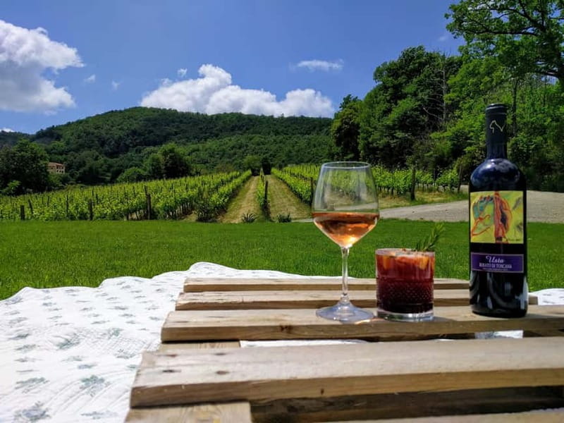 MONTEPULCIANO - PIC NIC WITH WINE! SURROUNDED BY VINEYARDS - Discovering the Heart of Tuscany: A Detailed Look