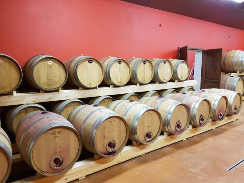 Montepulciano: Tuscan Winery Tour with Wine Tasting & Meal - The Fine Art of Wine Tasting & Pairing