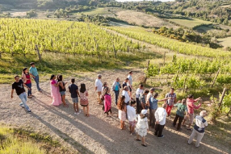 Montepulciano: Vino Nobile Wine Tour  Meet the Producers - The Logistics: What to Expect and Consider